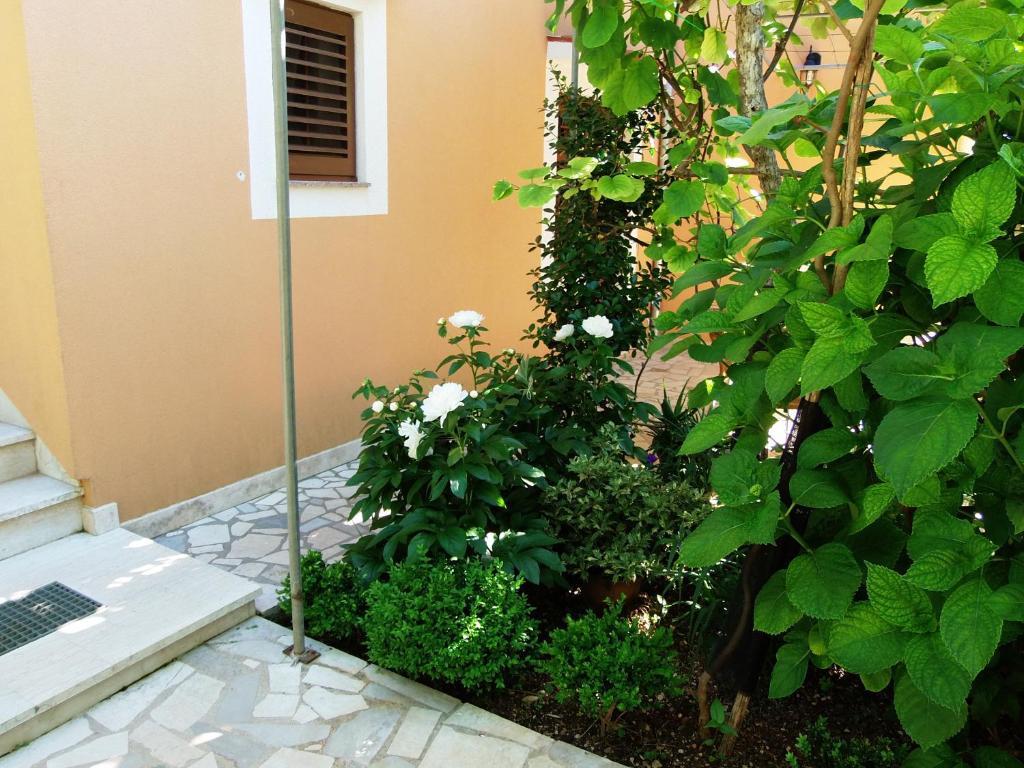 Apartments Beba Mali Lošinj Værelse billede