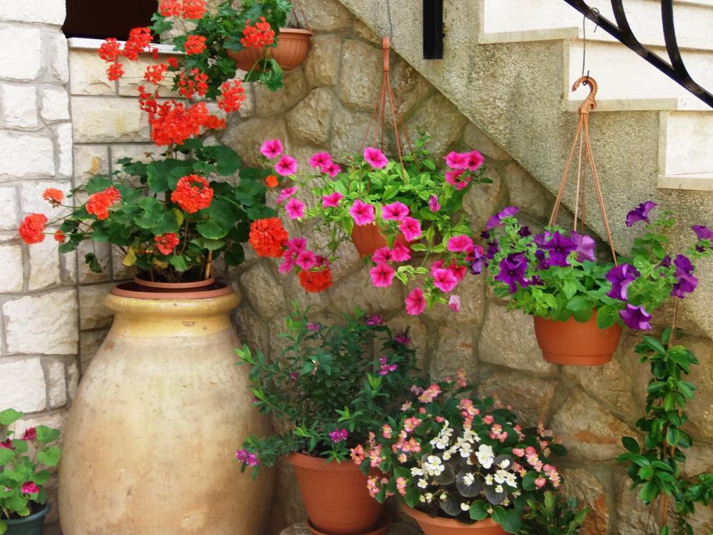 Apartments Beba Mali Lošinj Værelse billede