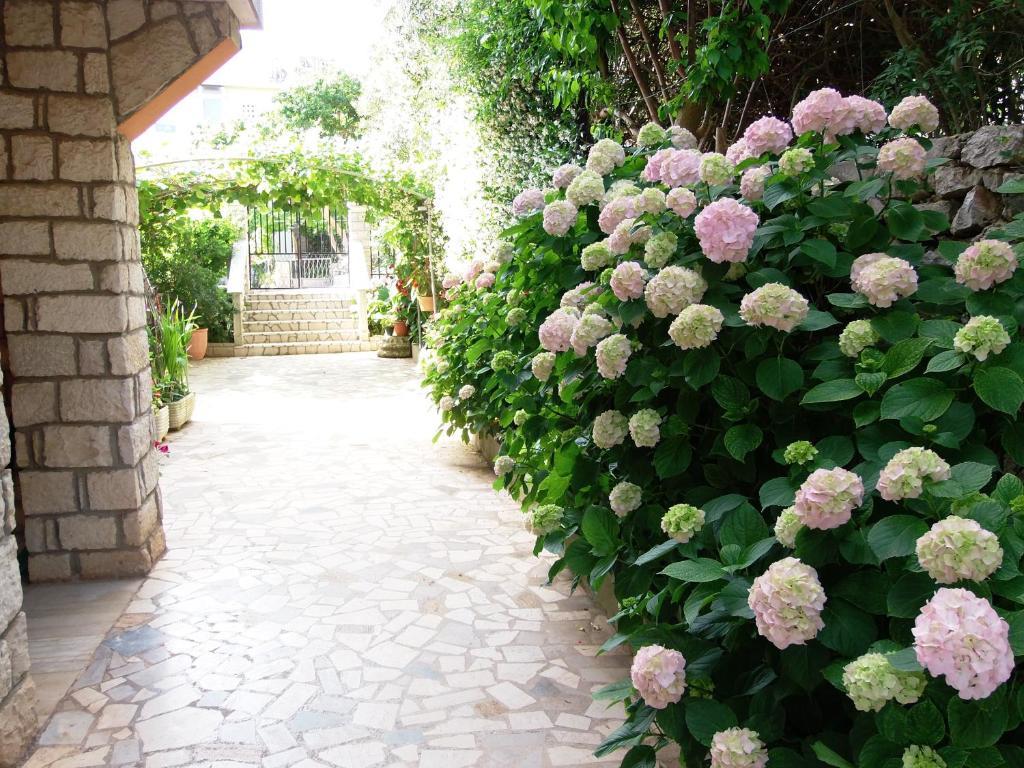 Apartments Beba Mali Lošinj Værelse billede